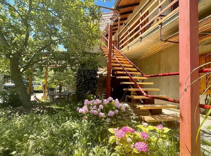 Olive Grove איזולה